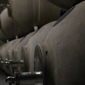 Encore quelques jours de calme avant les vendanges donnent le tempo. Les cuves attendent dans une ambiance paisible… tout est prêt pour accueillir le nouveau millésime 🍇 

Encore une belle aventure qui s’annonce ✨

#vinsbio #cavevinification #domaineviticole #vendanges #millésime