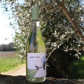 Quelle semaine ! 🌞 Qui pour un petit verre de vin blanc en ce vendredi soir ? 
Nuit d'Etang Blanc 🌻
Roussanne / Vermentino 💛
Fraicheur, jolie acidité, fleur blanche réuni dans votre verre 🍷

"L'alcool est à consommer avec modération" 
#vinsbio #domaineviticole #nîmes #costieresdenimes #vinsdusud #degustation