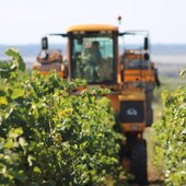 Rédigeons ensemble le récit du millésime 2025 🖋️🍇

#vinsbio #domaineviticole #instawines #winelovers #winetastings #lovewines #vinsdusud #rhonevalleywines @costieres2nimes #vauvert #nîmes #vendanges2025