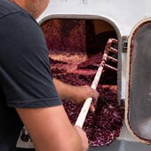 Place au décuvage 🍷 
Après plusieurs jours de fermentation et de macération, vient le moment de séparer le vin du marc. Un travail précis et physique, où l’on découvre déjà tout le potentiel de cette cuvée. 🍇

Le vin poursuit maintenant son chemin… ✨

#vendanges #décuvage #winemakingseason #instawines #vinsbio