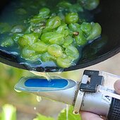 Comme chaque année il est temps de sortir le réfractomètre, arme fatale pour mesurer le taux du sucre dans le raisin 🍇 
Cette étape est essentielle car elle aide à déterminer le début des vendanges, tout est question d’équilibre !

#vinsbio #domaineviticole #vendanges #winelover🍷❤️ #winetasting #instawines #costieres2nimes #vinsdusud #vauvert #nîmes