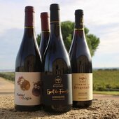 Qu’est ce qu’on attend d’un vin rouge ? 🍷
Un vin qui rassemble, un vin qui se partage, un vin qui se savoure ? A chaque cuvée sa définition - a l’apéro, à table ou entre amis nos rouges ont tous quelque chose à raconter 🍇

N’attend plus et vient déguster ! 

#vinsbio #domaineviticole #tastingwine #winelove #instawine #wines #nîmes #vauvert #costieresdenimes #vinsdusud #rhonevalleywines