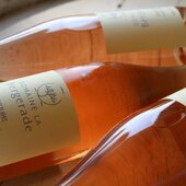 J’adore j’adore j’adore 🧡

Notre Bergerade rosé … 

L’alcool est à consommer avec modération 

#winelove #costieresdenimes #rhonevalleywines #domaineviticole #instawines @costieres2nimes @rhonevalleyvineyards