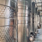 Un petit repos bien mérité pour notre cave juste avant l’excitation des vendanges 🤫
Merci à @leb_ethan pour les photos 📷
.
.
.
.
.
.
#vinsbio #domaineviticole #winelove #winetastings #instawine #nîmes #vauvert #costieresdenimes #vinsdusud #vinsdurhone